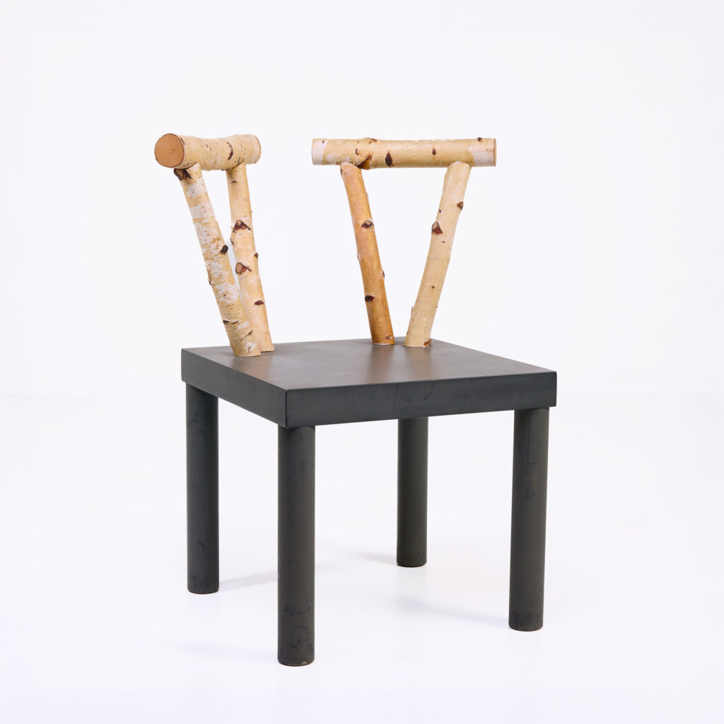 chaise Animali Domestici Andrea Branzi