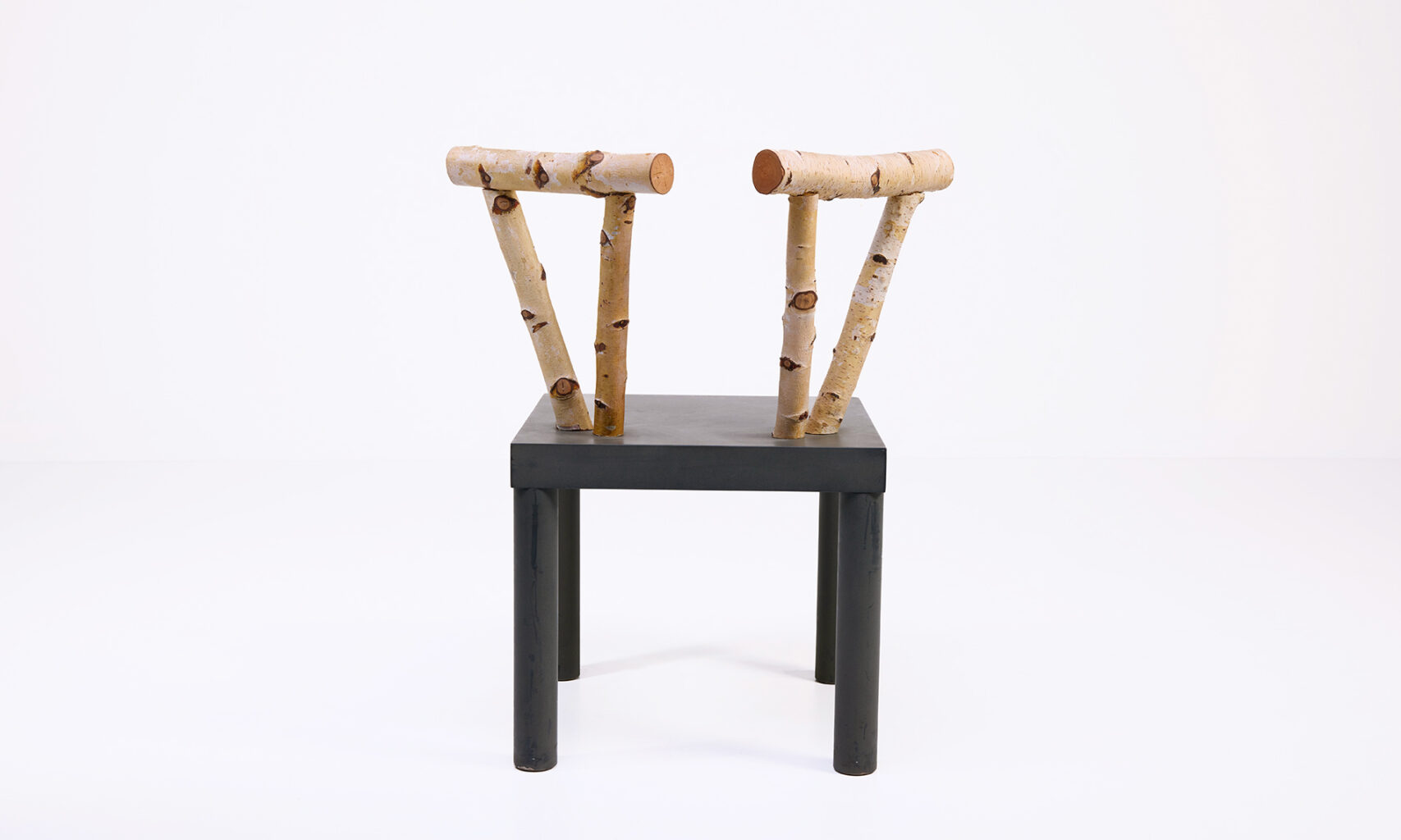 chaise Animali Domestici Andrea Branzi