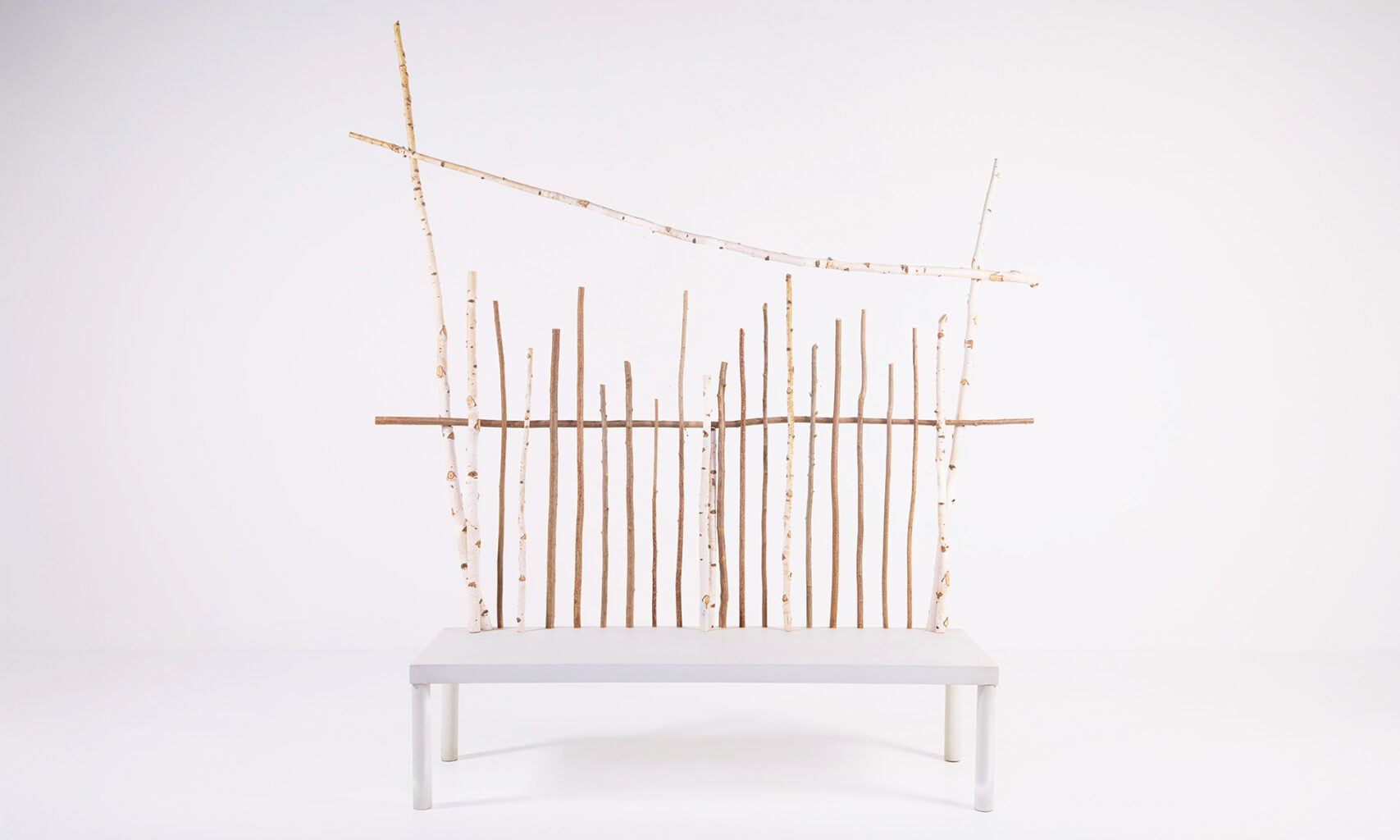 banc Animali Domestici Andrea Branzi