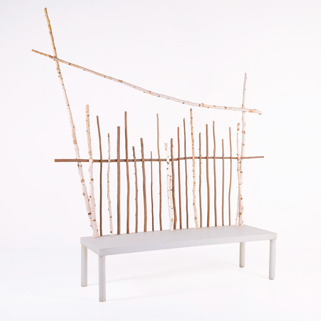 banc Animali Domestici Andrea Branzi