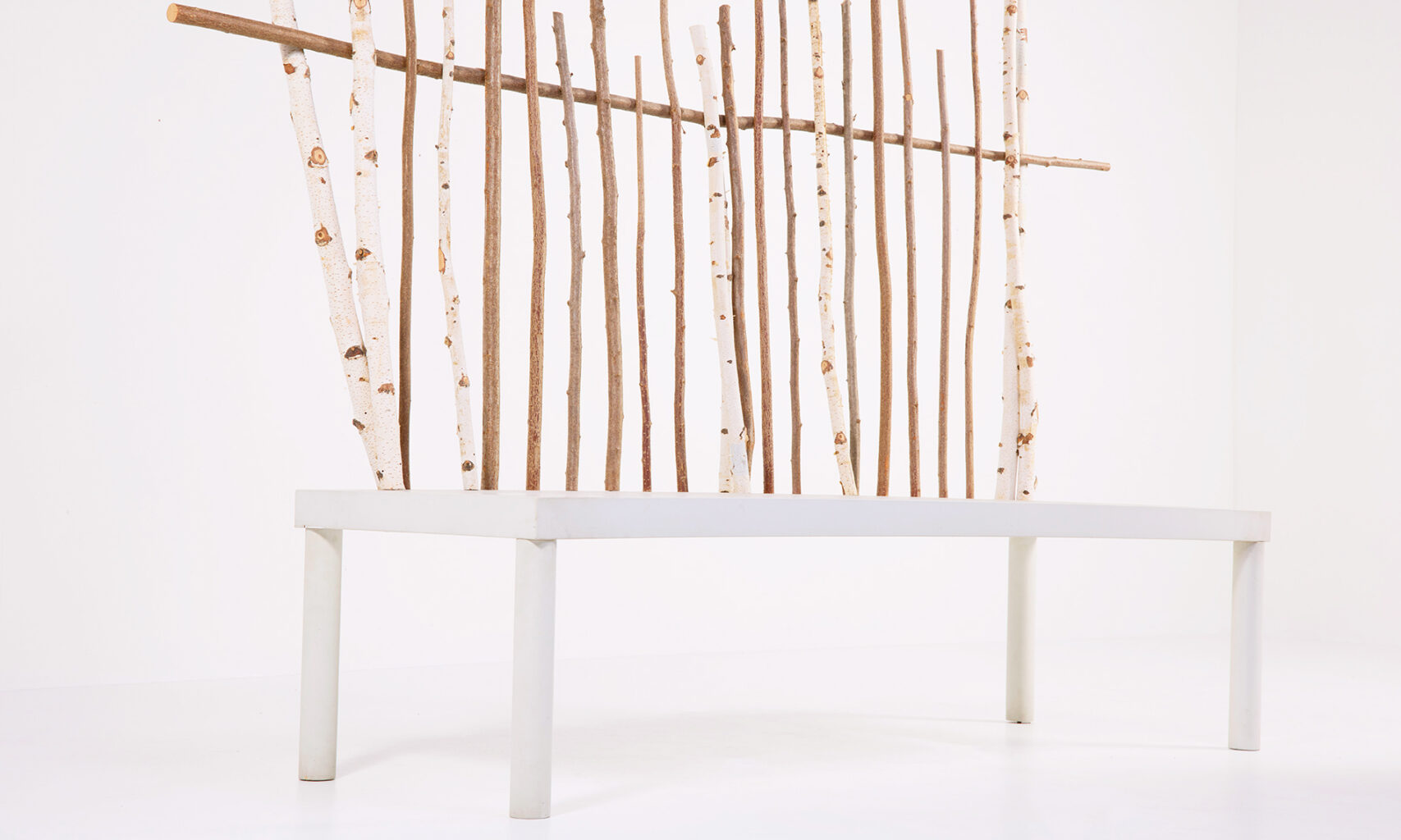 banc Animali Domestici Andrea Branzi